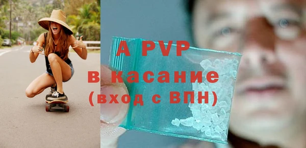 прущие грибы Белокуриха