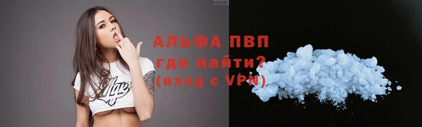прущие грибы Белокуриха