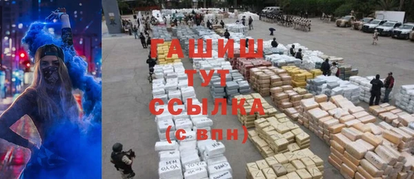 прущие грибы Белокуриха