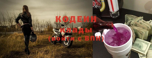 прущие грибы Белокуриха