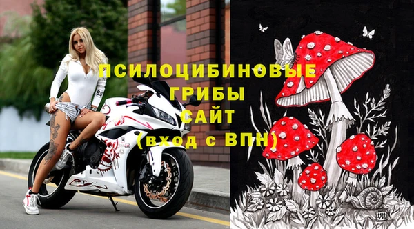 2c-b Белоозёрский