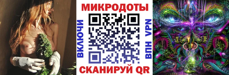 цена наркотик  Буйнакск  Псилоцибиновые грибы Cubensis 