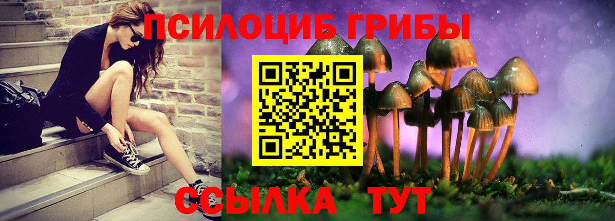 Буйнакск  Псилоцибиновые грибы Psilocybine cubensis  Вход с VPN  Галлюциногенные грибы Psilocybe 